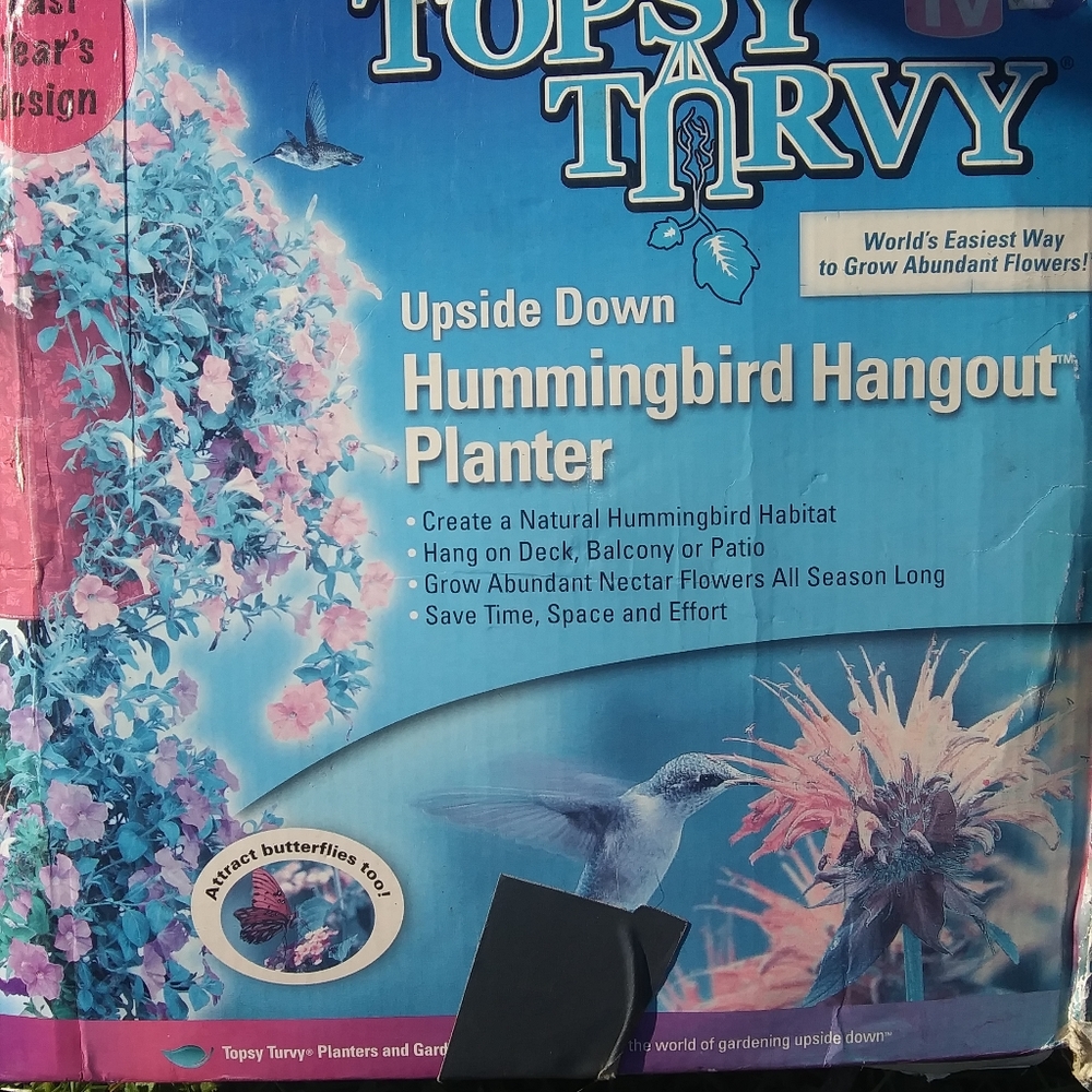 Hummingbird habitat